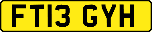 FT13GYH