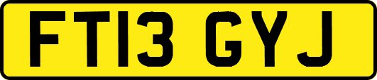 FT13GYJ