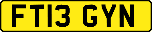 FT13GYN