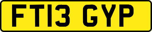 FT13GYP