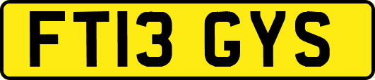 FT13GYS