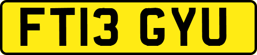 FT13GYU