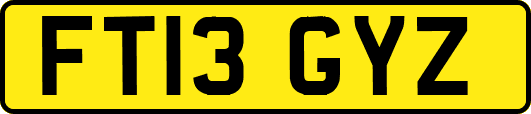 FT13GYZ