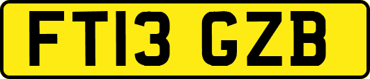 FT13GZB