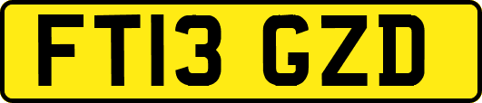 FT13GZD