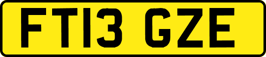 FT13GZE