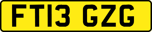 FT13GZG