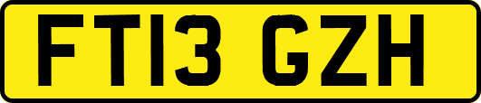 FT13GZH