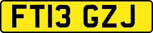 FT13GZJ