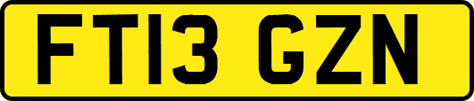 FT13GZN