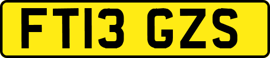 FT13GZS