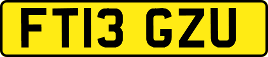 FT13GZU