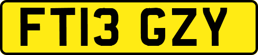 FT13GZY