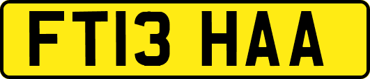 FT13HAA