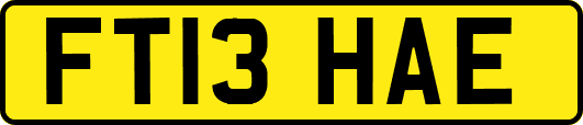 FT13HAE
