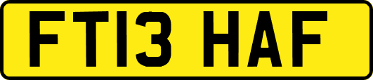FT13HAF