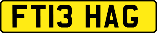 FT13HAG