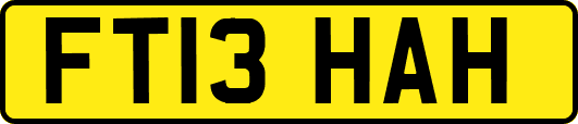 FT13HAH