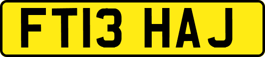 FT13HAJ