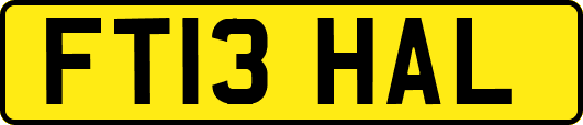 FT13HAL