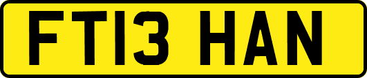 FT13HAN