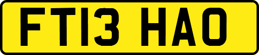 FT13HAO