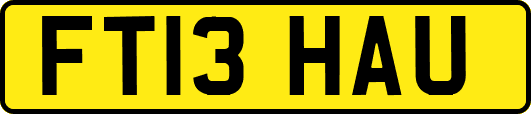 FT13HAU