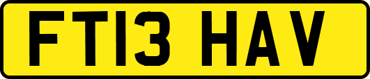 FT13HAV