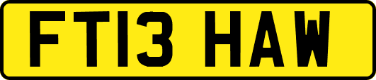 FT13HAW