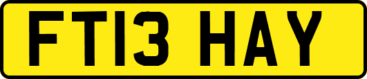 FT13HAY