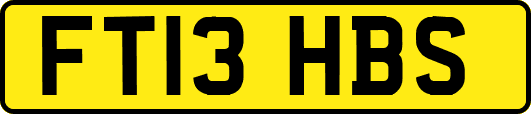 FT13HBS