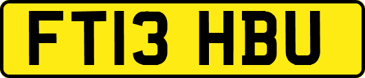FT13HBU