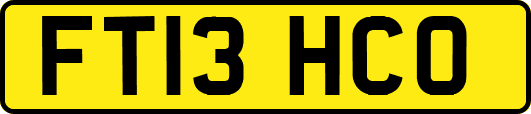 FT13HCO