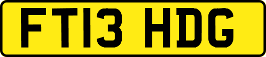 FT13HDG