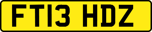 FT13HDZ