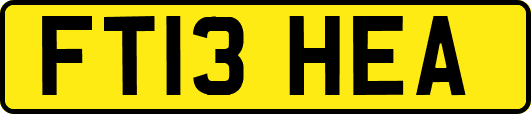 FT13HEA