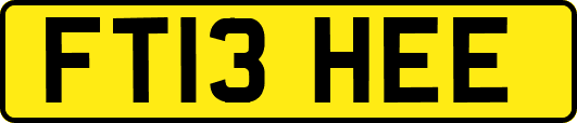 FT13HEE
