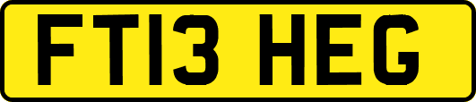 FT13HEG
