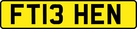 FT13HEN