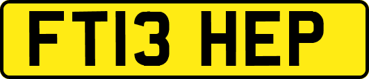 FT13HEP