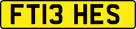 FT13HES