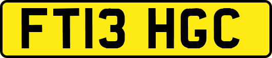 FT13HGC
