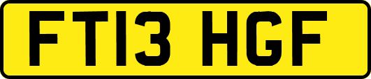 FT13HGF