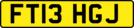 FT13HGJ