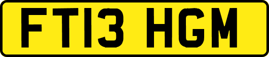 FT13HGM
