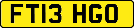 FT13HGO