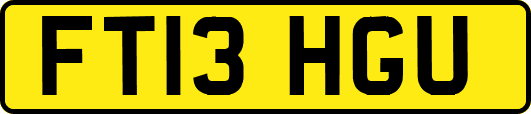 FT13HGU