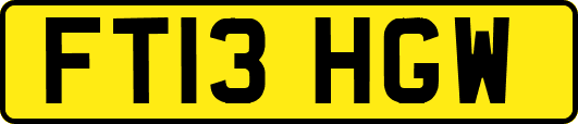 FT13HGW