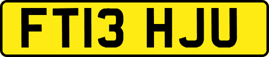 FT13HJU