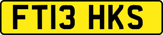 FT13HKS